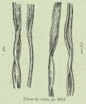 Huwart, J. (1905). Le tannage des filets de pêche Trav. Stat. Rech. Relat. Pêche Marit. Ostende 2: 3-33 Huwart, J. (1905). Le tannage des filets de pêche Trav. Stat. Rech. Relat. Pêche Marit. Ostende 2: 3-33