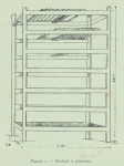 Huwart (1911, fig. 2) Huwart (1911, fig. 2)