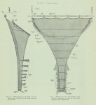 Gilson (1911, fig. 02, 03) Gilson (1911, fig. 02, 03)