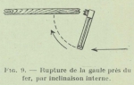 Gilson (1911, fig. 09) Gilson (1911, fig. 09)