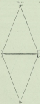 Gilson (1911, fig. 15) Gilson (1911, fig. 15)