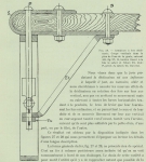 Gilson (1911, fig. 28) Gilson (1911, fig. 28)