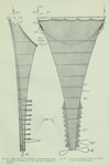 Gilson (1911, fig. 29, 30) Gilson (1911, fig. 29, 30)