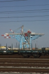 Kraan
