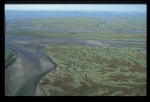 Saeftinge