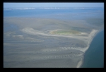 Westerschelde