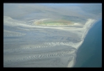 Westerschelde