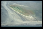 Westerschelde
