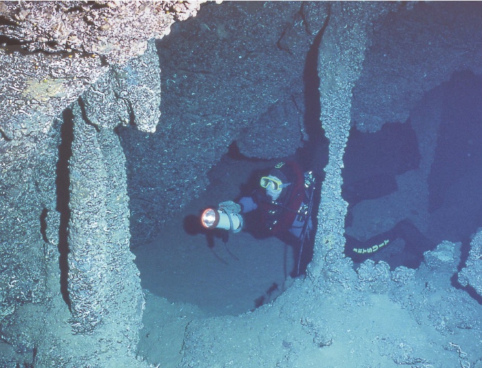 Trémies Cave, dark zone, with highly diverse fauna of encrusting invertebrates.