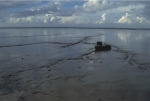 Vast soft-sediment tidal flats in Oosterschelde.