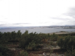 Typical north-Norwegian coast; Porsanger, Finnmark. Typical north-Norwegian coast; Porsanger, Finnmark.