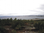Typical north-Norwegian coast; Porsanger, Finnmark.
