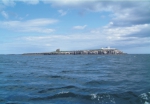 Inner Farne, the largest island of the Farnes group. Inner Farne, the largest island of the Farnes group.