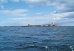 Inner Farne, the largest island of the Farnes group.