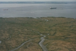 Saeftinghe: one of Europe�s largest saltmarshes in the Westerschelde.