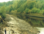 The upper Esk estuary. The upper Esk estuary.