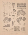 Van Beneden (1897, pl. 03) Van Beneden (1897, pl. 03)