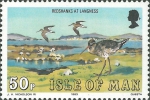 Tringa totanus
