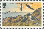 Larus fuscus