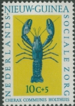Cherax communis