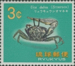 Uca dubia