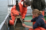 Images for media and outreach