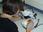 laboratorium: soorten determineren