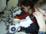 laboratorium: soorten determineren