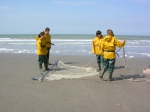 strandkruien: voorbereiding