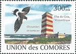 Mozambique, Ilha do Goa Mozambique, Ilha do Goa