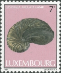 Gryphaea arcuata