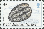 Lyriaspis sp.