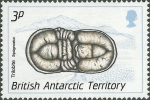 Triplagnostus sp.