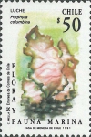 Planten en wieren