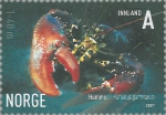 Homarus gammarus
