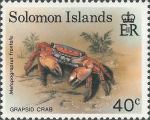Metopograpsus frontalis