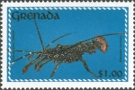 Panulirus guttatus