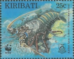 Panulirus penicillatus