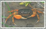 Thaipotamon chulabhorn