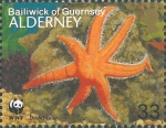 Luidia ciliaris