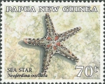 Neoferdina cumingi