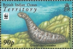Pearsonothuria graeffei
