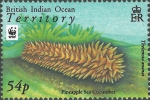 Thelenota ananas