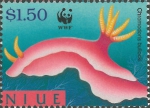 Chromodoris bullocki