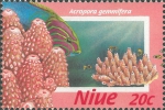 Acropora gemmifera