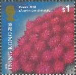 Alcyonium sp.