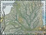Neteldieren