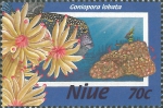 Goniopora lobata