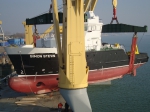 JPG file