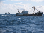 Z.98 Op Hoop van Zegen (bouwjaar 1991)